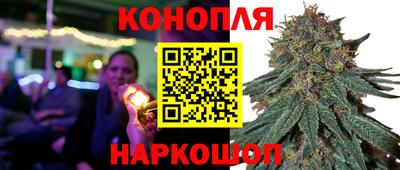 мяу мяу мука Нальчик