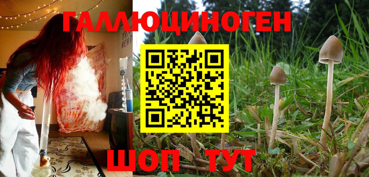 Галлюциногенные грибы MAGIC MUSHROOMS Урай