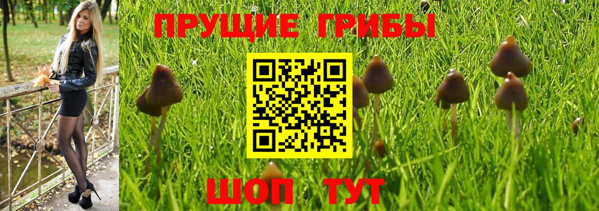 Урай  Псилоцибиновые грибы Magic Shrooms  цены   Вход с VPN  Галлюциногенные грибы MAGIC MUSHROOMS 